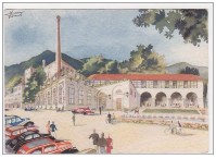 41) Birreria Pedavena.jpg