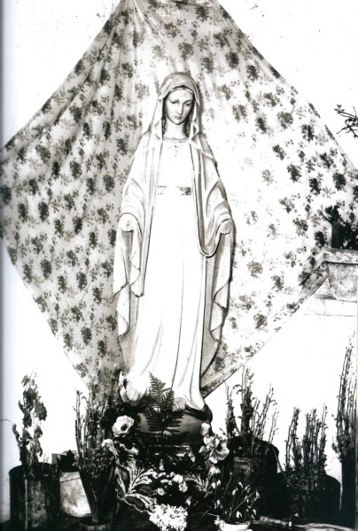22-La statua della Madonna della chiesetta di California priva delle mani, approdata davanti al capitello di Sant'Antonio a Titele, trasportata dalla corrente dopo l'alluvione..jpg