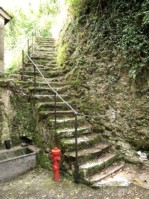 49) Interno della Certosa di Vedana ... scala per il Paradiso!!.jpg