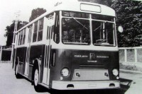 40) Anno 1965. Autobus urbano della ditta Buzzatti Fiat 409 a Belluno.jpg