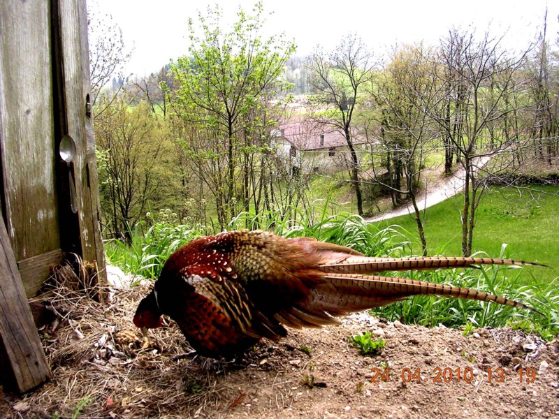 DSCN7855.JPG