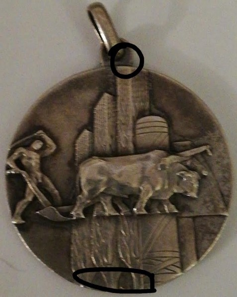 132) Galbani medaglia d'argento..jpg