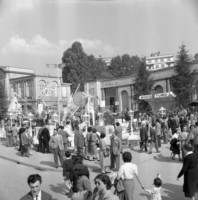 16) Visitatori nel viale dell'industria alla Fiera Campionaria di Milano del 1952..jpg