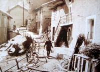 06-Gena Alta..jpg