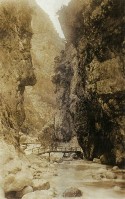 66b) Valle del Mis - I Serrai - Ponticelli in legno per l'attraversamento del torrente del Mis Anno 1919..jpg