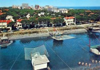 113b-Lido degli Estensi - il canale Logonovo perchè sullo sfondo c'è il grattacielo California, e sulla destra ,dopo la strada che va a Spina, c'è l'Albergo Logonovo..jpg