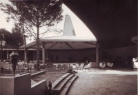 58-Tropicana.jpg