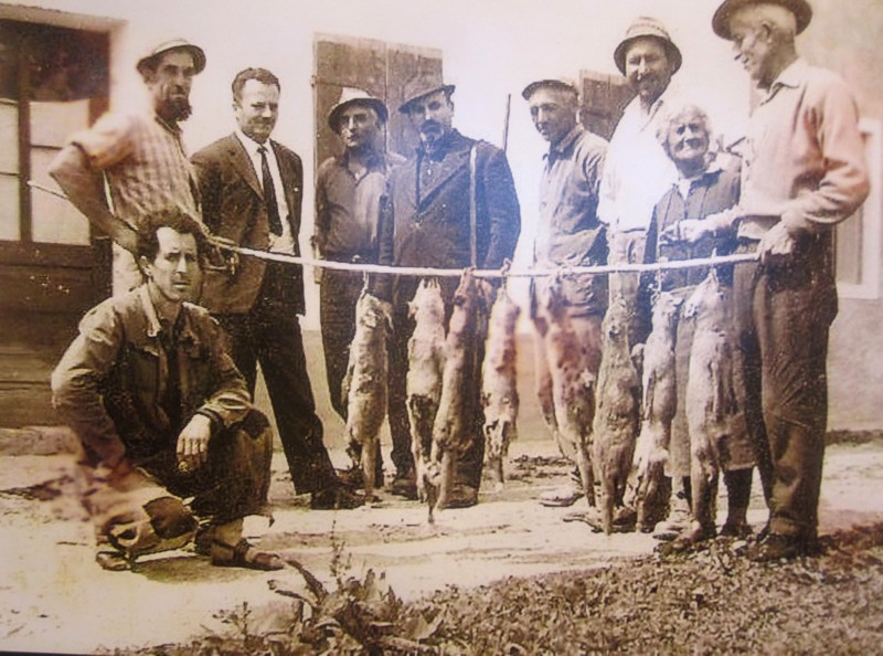 82) Anni '60-Cacciatori di San Gregorio con un ricco bottino di volpi - Si riconoscono da sx Remo Balest, Rino Scola, ..., Camillo Cassol, Mario Dalle Grave (guardiacaccia),.jpg