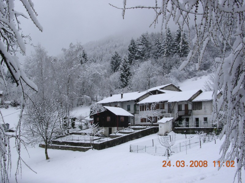Scot d'inverno.JPG