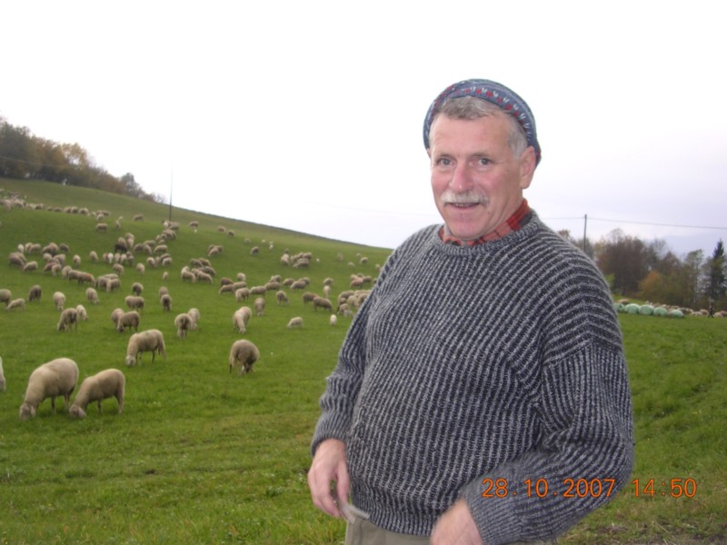 Ciano dei scot.JPG
