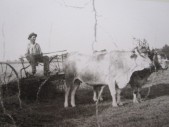 55-Alfonso Argenta da Roncoi , al lavoro come colono a La Gironde (Francia) , anni '30.jpg