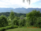 Roncoi de istà .JPG