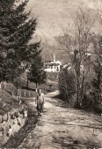 13-Roncoi di San Gregorio nelle Alpi m. 670 - ed. Wilmo Tonet - alimentari, osteria (nella foto)  anni '50..jpg