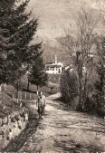 13-Roncoi di San Gregorio nelle Alpi m. 670 - ed. Wilmo Tonet - alimentari, osteria (nella foto) anni '50..jpg