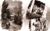 22-Wilmo, famiglia Mattiet e Ciano con le derle. Roncoi anni '60.jpg