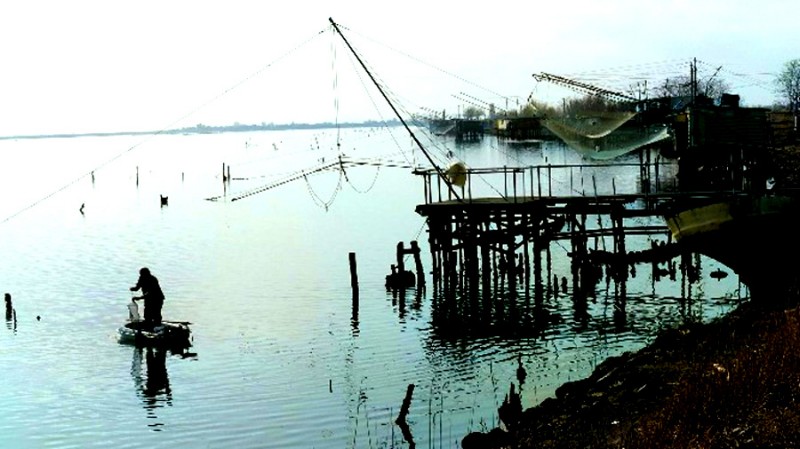 6) Comacchio. Pesca in valle..jpg