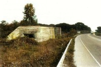 15) Bunker tedeschi lungo la strada Romea a nord di Comacchio..jpg