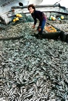 2) Dopo un giorno di pesca, anno 1973. Nella foto Luigi Nordi detto Musina..jpg