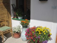 IMG_8339.JPG