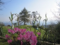 IMG_9042.JPG