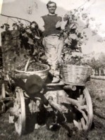 59-Felice vendemmia di Possamai Enzo a Fumach-Romaviero.JPG