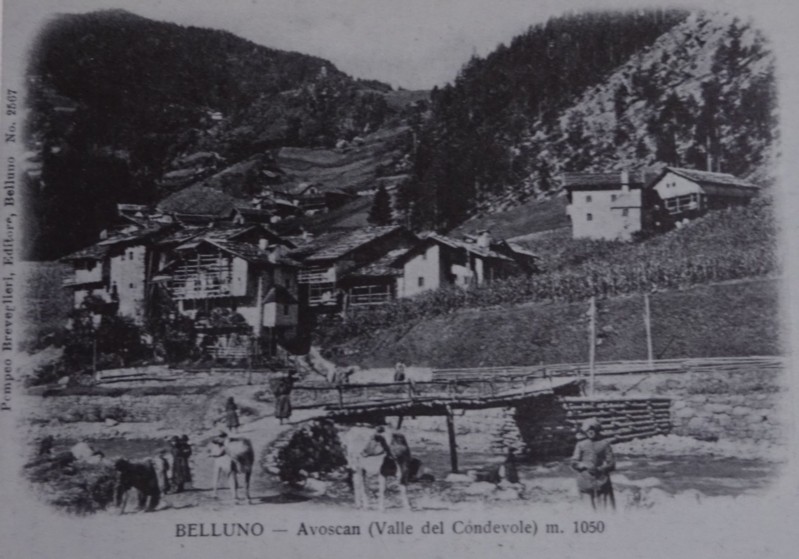 128) Belluno - Avoscan (Valle del Cordevole) m. 1050..jpg