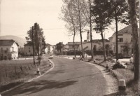 63-Santa Giustina - viale dei Tigli, anno 1965.jpg