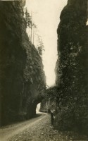 54) Serrai di Sottoguda (Agordino) m. 1252 - anno 1924.jpg