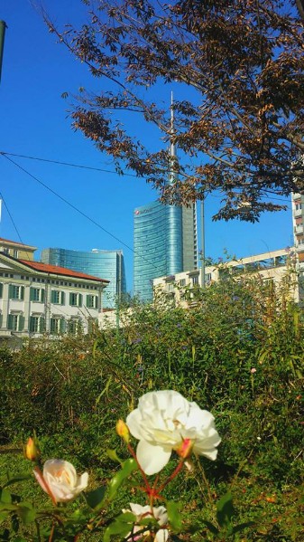 164) Anche il cielo della nostra città è azzurro spesse volte anche se alcuni dicono che a Milano non si vede così meraviglioso .......jpg