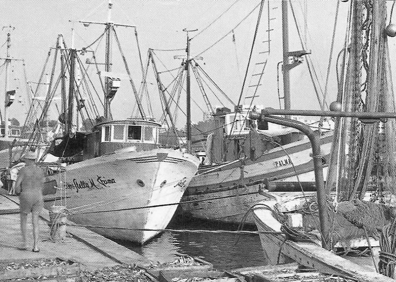 502-Porto Garibaldi . dopo la pesca anni '60.jpg