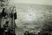 112-Genepesca I pescata Capo di Buona Speranza Aprile '68.jpg