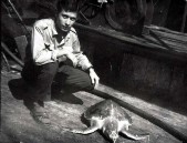 128-Armando Ariano, una strana preda.jpg
