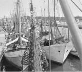 501-Porto Garibaldi - pescherecci anni '60.jpg