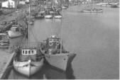 504-Il porto dal cavalcavia della statale Romea anni '60.jpg