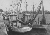 510-Porto Garibaldi pescherecci in porto.jpg