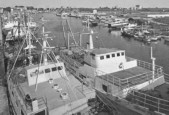 512-Porto Garibaldi pescherecci in porto.jpg