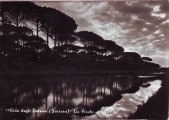 18-Pineta 1960.jpg
