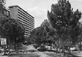33-Viale dei Pini.jpg