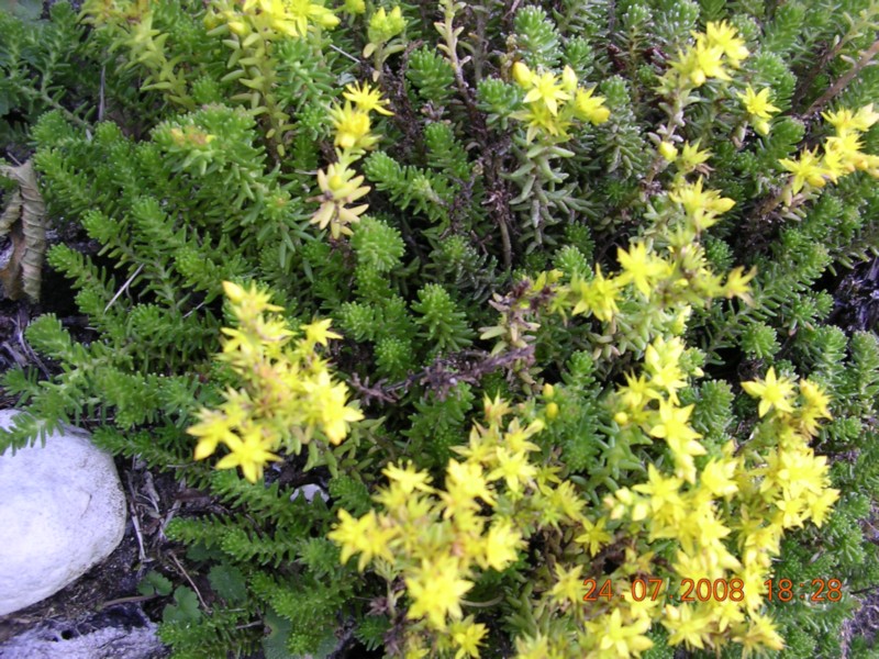 DSCN5459.JPG