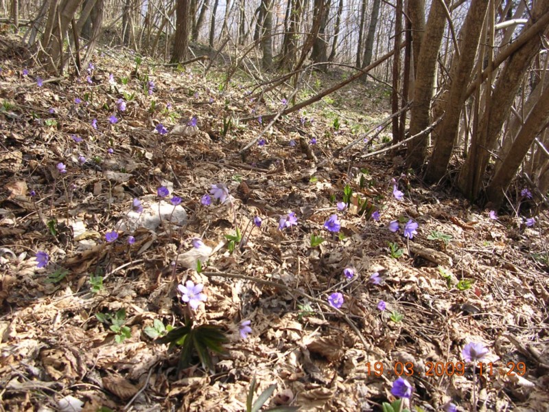 DSCN6556.JPG