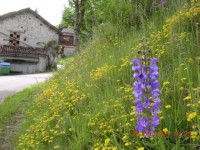 DSCN5212.JPG