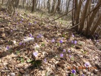 DSCN6556.JPG
