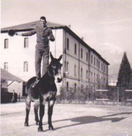 90-Caserma d'Angelo(BL) 1969 - L'artigliere della -16a Btr. del gruppo Lanzo- Andrich Ruggero fa l'equilibrista su un bel mulo del reparto..jpg