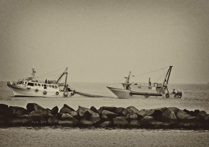 579-PORTO GARIBALDI, pescherecci..jpg