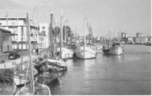 511-Porto canale Estensi-Garibaldi anni '60.jpg