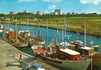 279h2-Magnavacca , fine anni 60!..jpg