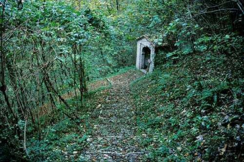 37) San Vittore e Corona.jpg