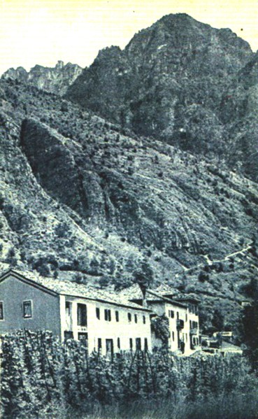 43) LA MUDA agordina m. 527 - Monte Pradusié (Vescovà) - Inizio del sentiero che condiceva nella Val Clusa. A quel tempo la vegetazione era alquanto rara.jpg