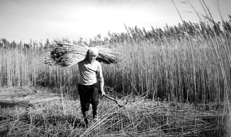 210d-Le na val da Cana. Questa liara la vita chi faceva e a sal manten ades.jpg