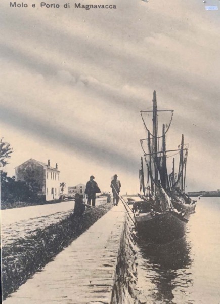 49b-Alla fine ero io che mangiavo il pesce con loro, avevano una specie di rola(direbbe mia madre)di ferro dove cuocevano ogni specie di pesce( mio padre diceva magna taresa l'ha apane pasca'.jpg